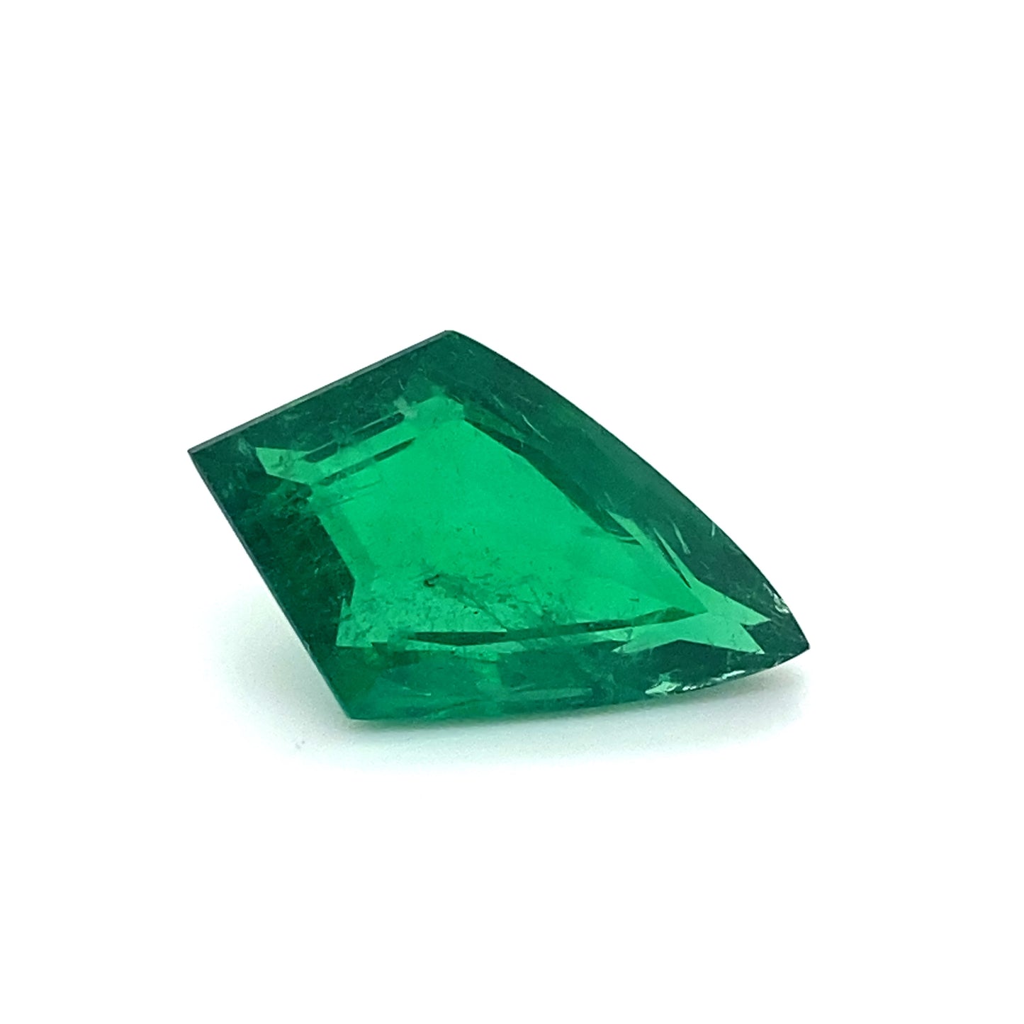 
                  
                    23.14x14.12x8.02mm Fancy Cut Emerald (1 pc 12.09 ct)
                  
                