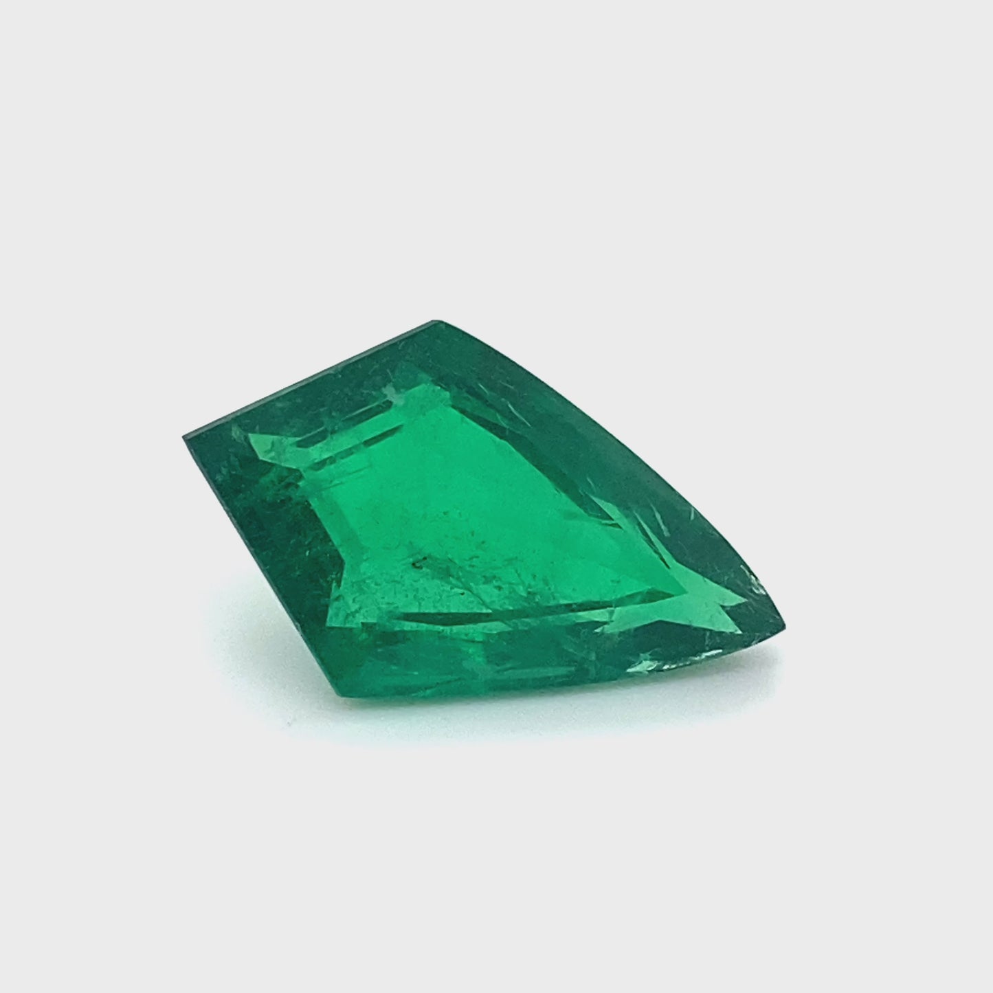 
                  
                    Load and play video in Gallery viewer, 23.14x14.12x8.02mm Fancy Cut Emerald (1 pc 12.09 ct)
                  
                