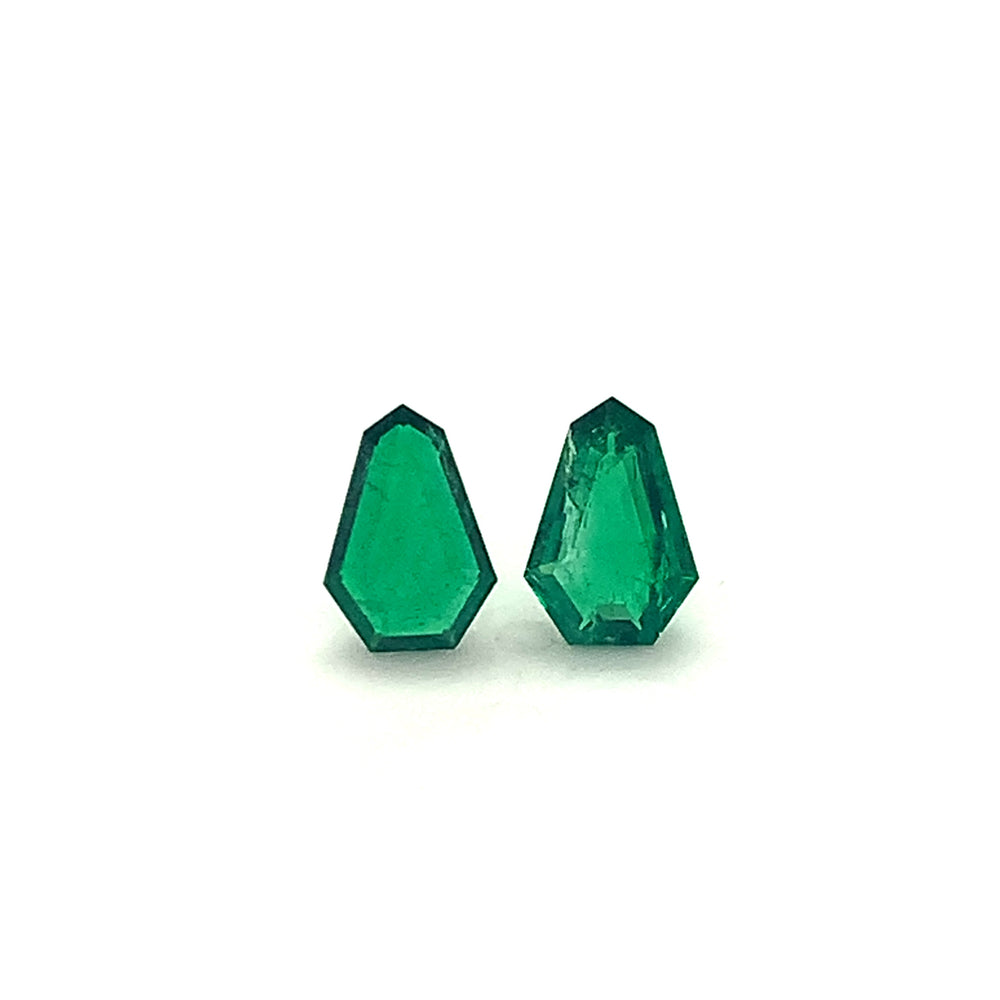
                  
                    7.92x5.49x2.28mm Fancy Cut Emerald (2 pc 1.36 ct)
                  
                